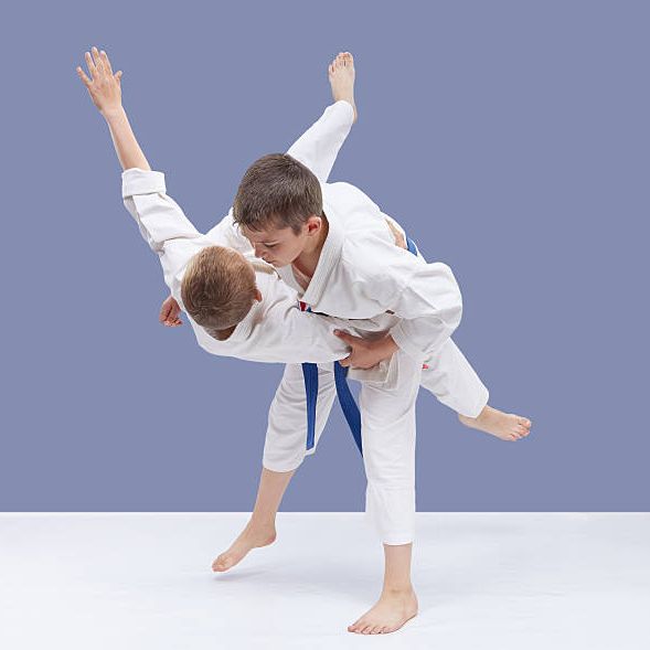 8 � 11 ans - Judo / sortie skypark -  5 jours