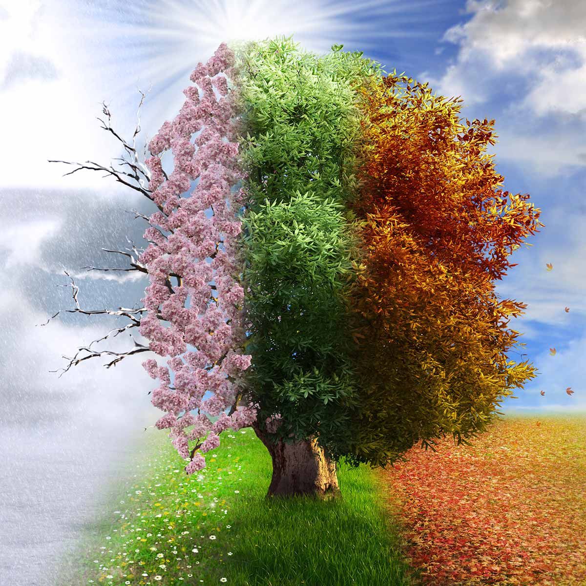 2.5 � 4 ans - les 4 saisons  - 5 jours